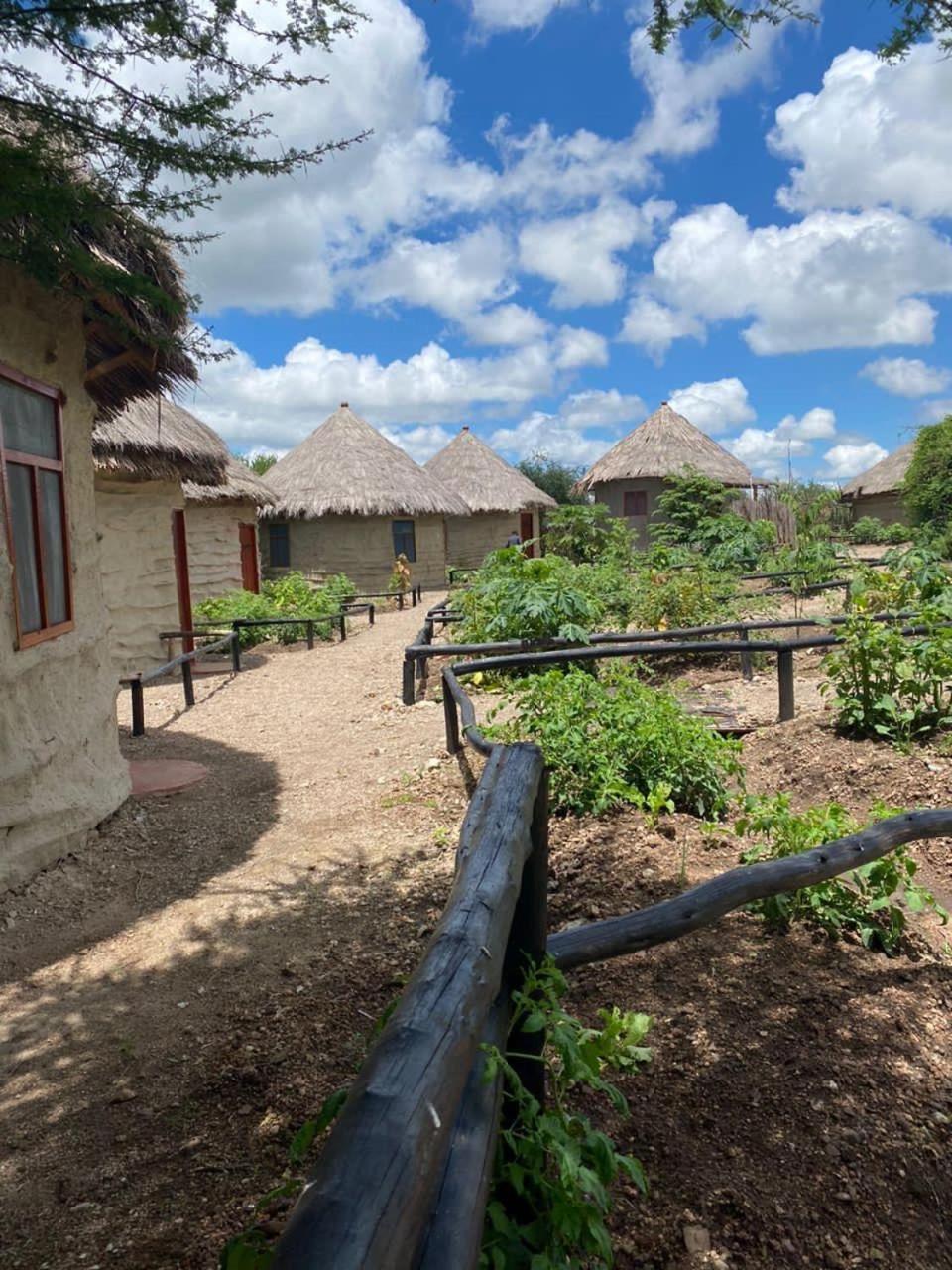 Maasai Eco Boma & Lodge - Experience Maasai Culture Makuyuni المظهر الخارجي الصورة